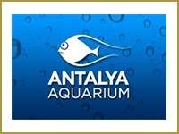 Antalya Aquarıum